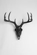 Black Resin Deer Skull by White Faux Taxidermy / Resin Buck Animal Skull / Western Decor Animal Skull Fauxidermy / Faux Deer Skull 