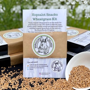 Grow Your Own Wheatgrass Kit!