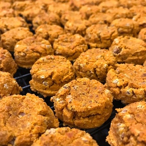 Meaty Pumpkin Bites for Dogs (20 pieces)