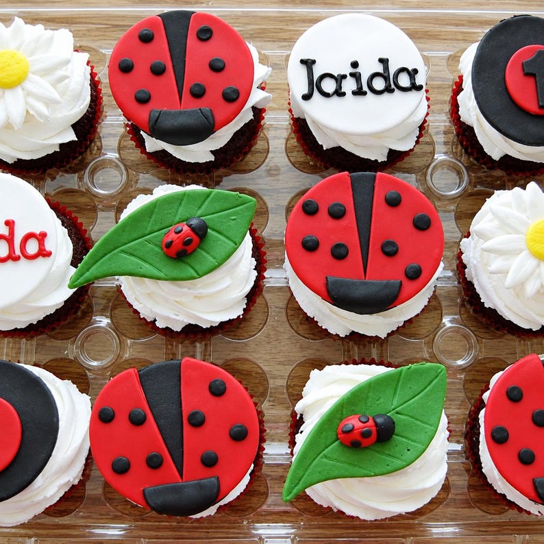 May include: A collection of twelve cupcakes arranged in a plastic tray, featuring white frosting topped with fondant decorations including red ladybugs with black spots, green leaves, white daisies with yellow centers, and white discs with the name Jaida.