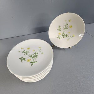 One Peter Terris for Shenango April 8&quot; Plate Multiples Available