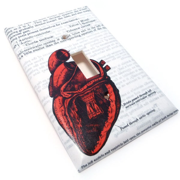 Light switch cover, anatomical heart red white and black switch plate