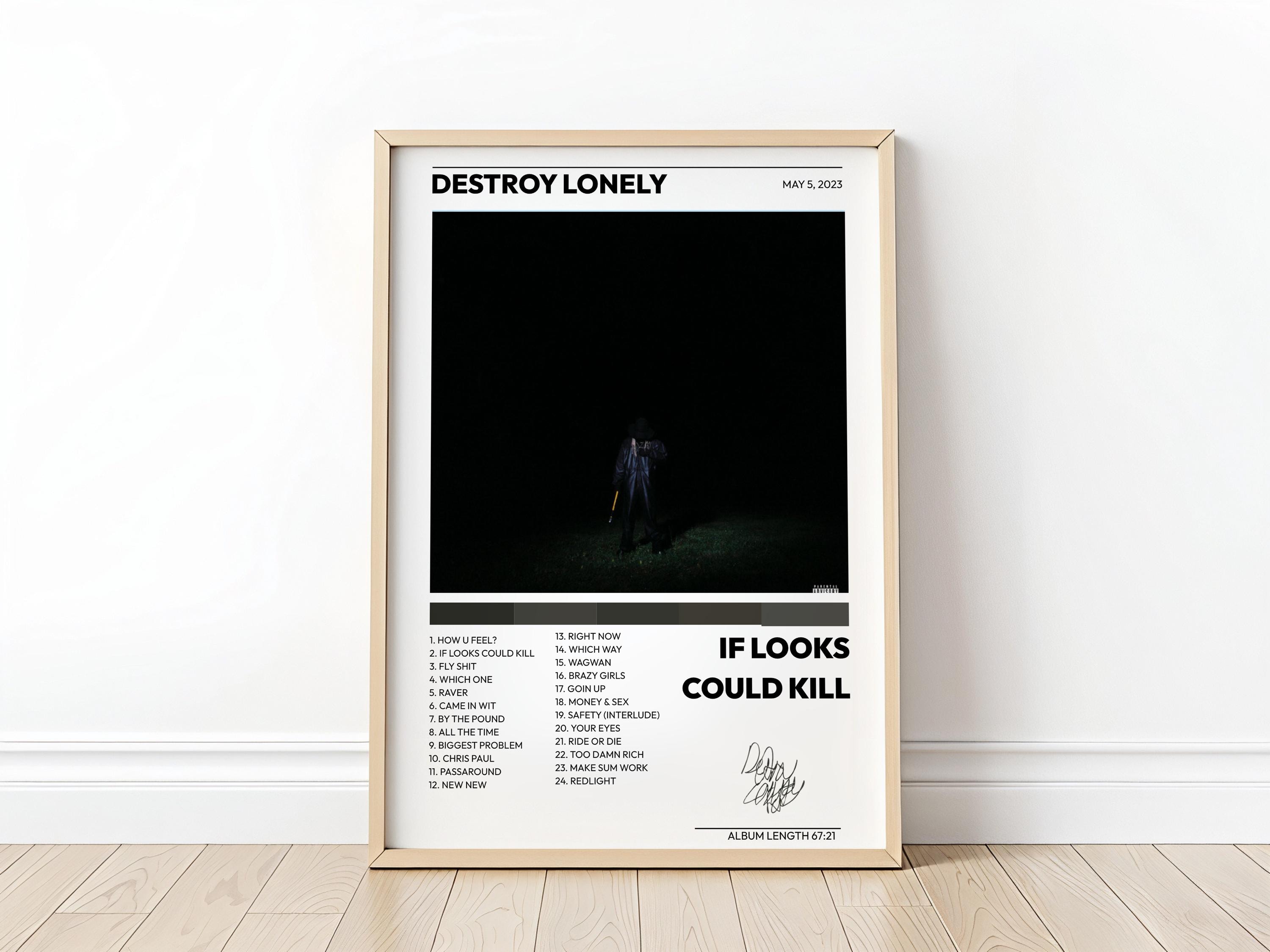 Destroy Lonely Album Cover - Etsy