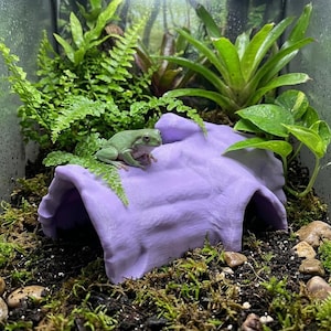 May include: A light green tree frog sits atop a smooth, lavender-colored arched hideout structure. The hideout is positioned on dark soil covered with moss and small stones, surrounded by lush green ferns and broad-leafed tropical plants.