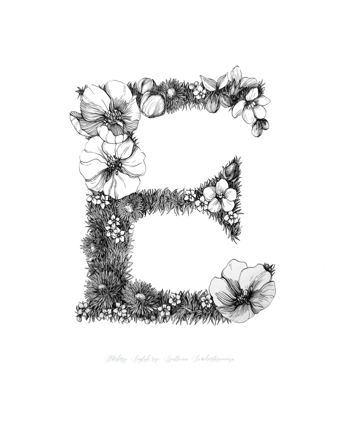 Hand Drawn Botanical Letter - E - Etsy