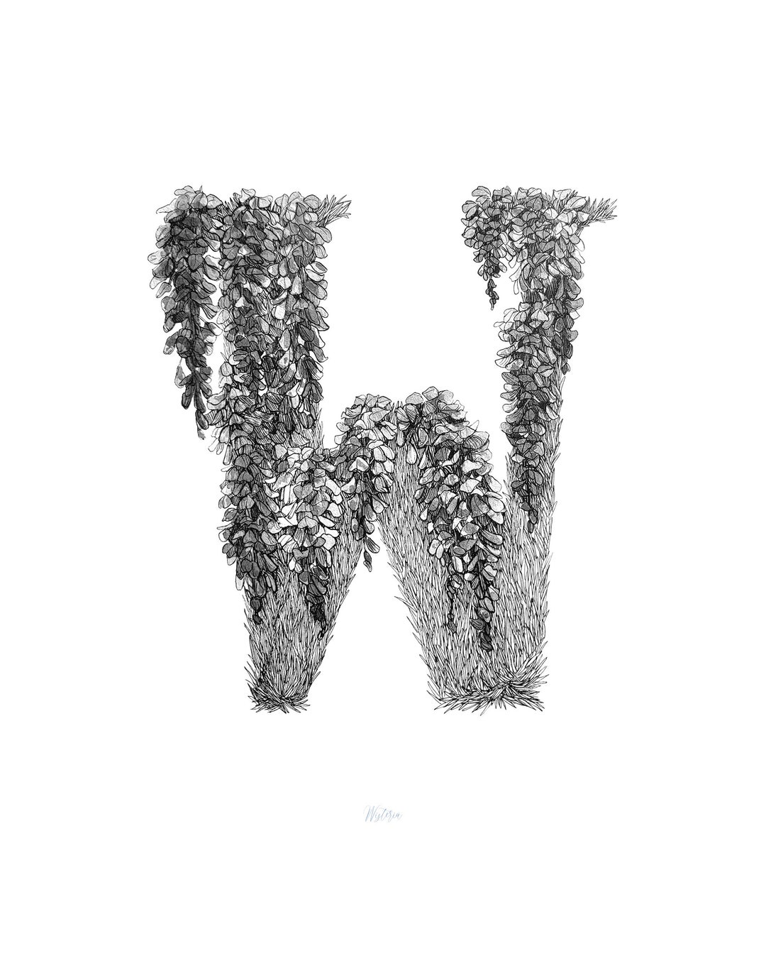 Hand Drawn Botanical Letter - W - Etsy