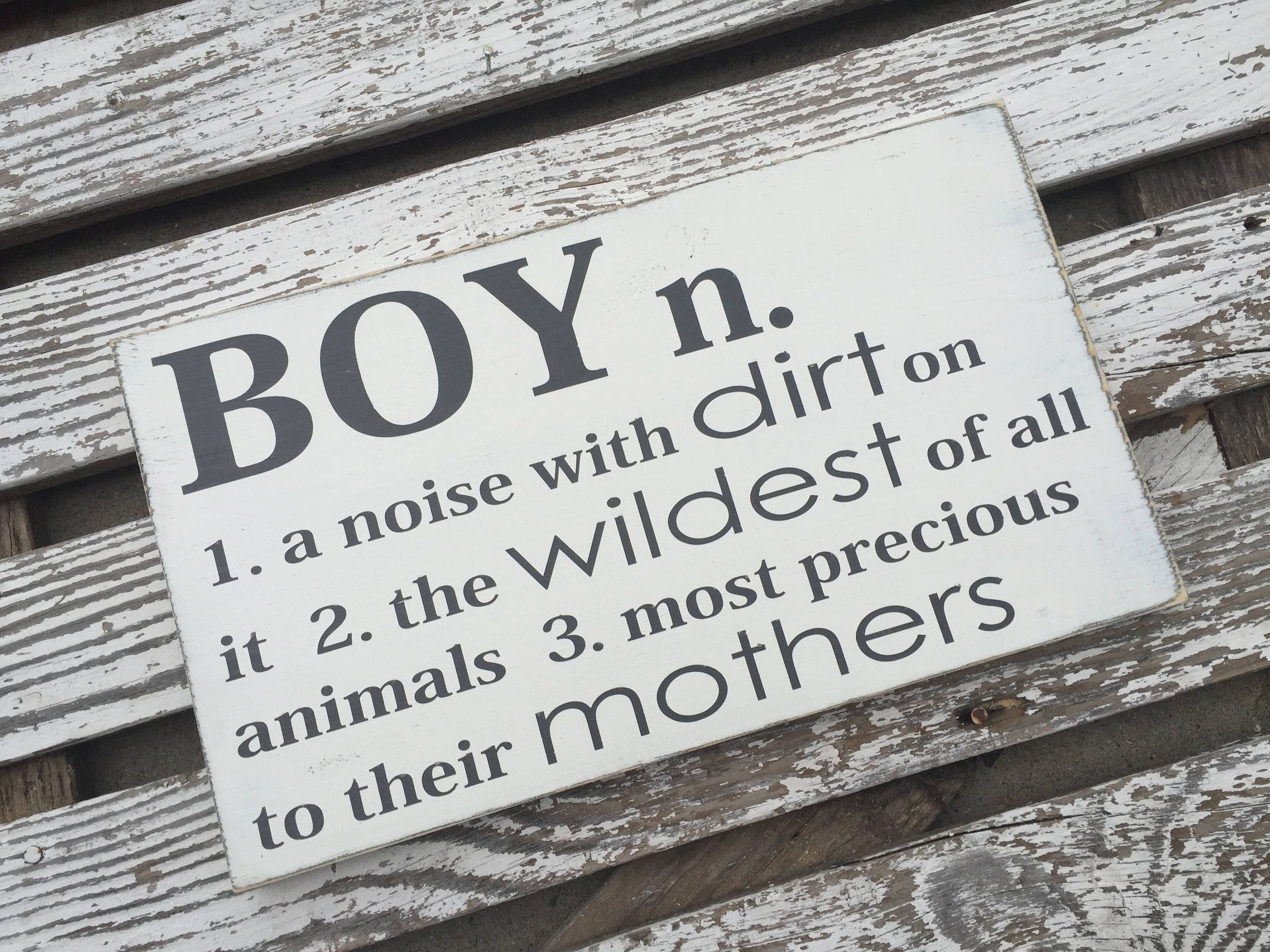 Boy definition hand painted wood sign nursery art boy Etsy