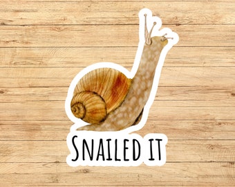 Snailed it sticker, cute snail sticker