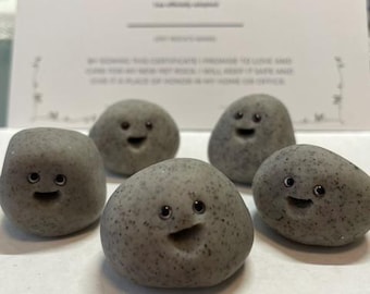 Cute Pet Rock Desk Buddy: Whimsical Stone Companion for Your Workspace or home; emotional support rock with adoption certificate