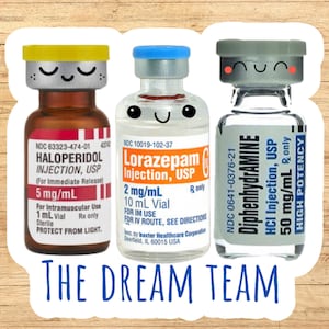 Dream team sticker, funny medical sticker, nurse sticker