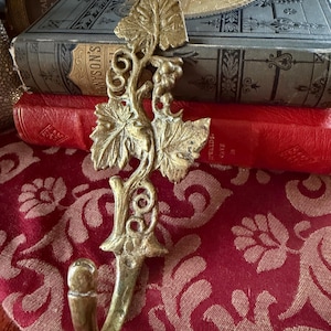May include: A vintage brass wall hook with a decorative grape vine design. The hook features leaves and grape clusters, with a curved hook at the bottom. The hook is set against a backdrop of antique books and a red patterned fabric.