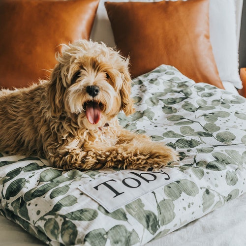 Why Do Dogs Destroy Pillows
