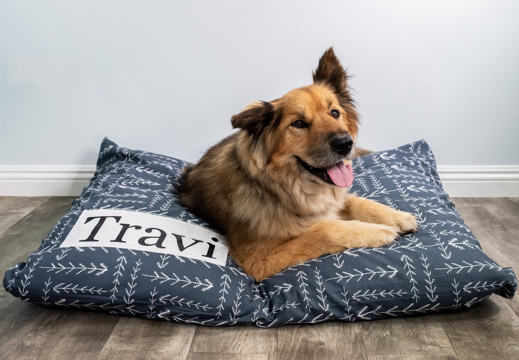 Dog beds at ollies sale