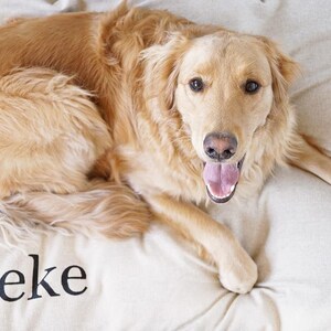 May include: A golden retriever dog lying on a white dog bed with the name "Zeke" embroidered on it.