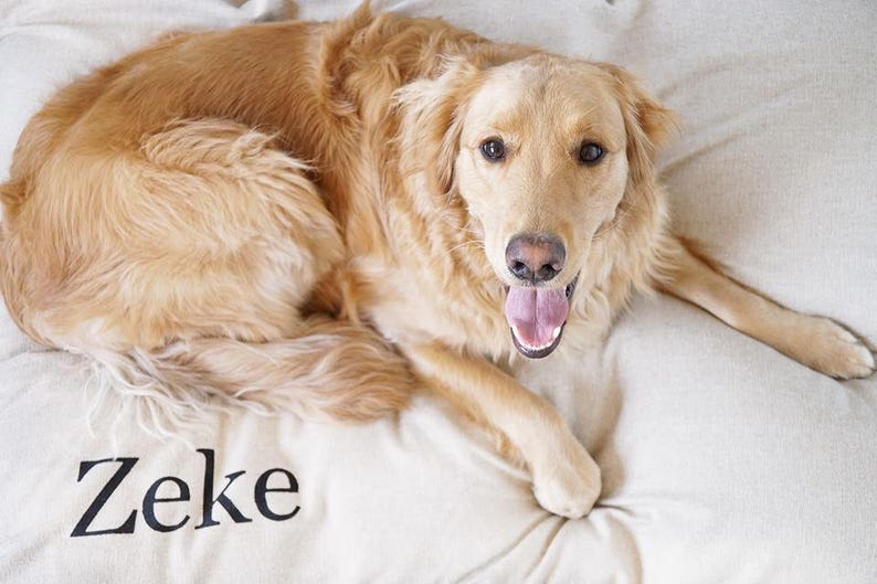 May include: A golden retriever dog lying on a white dog bed with the name "Zeke" embroidered on it.