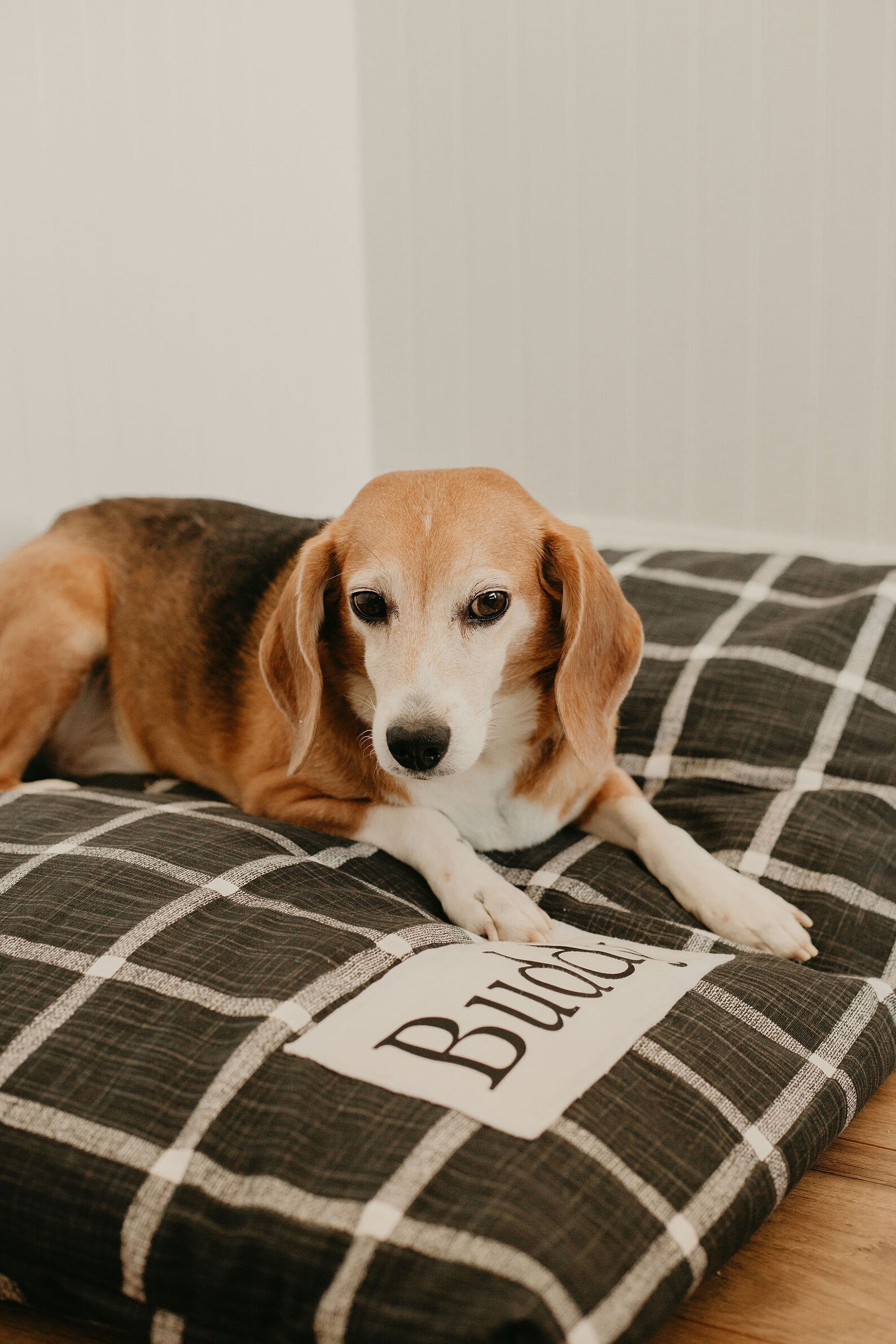 Black Plaid Dog Bed Cover Cute Dog Beds Personalized Dog Etsy