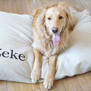 May include: A light beige dog bed with the name "Zeke" embroidered on it. A golden retriever dog is lying on the bed with its tongue sticking out.