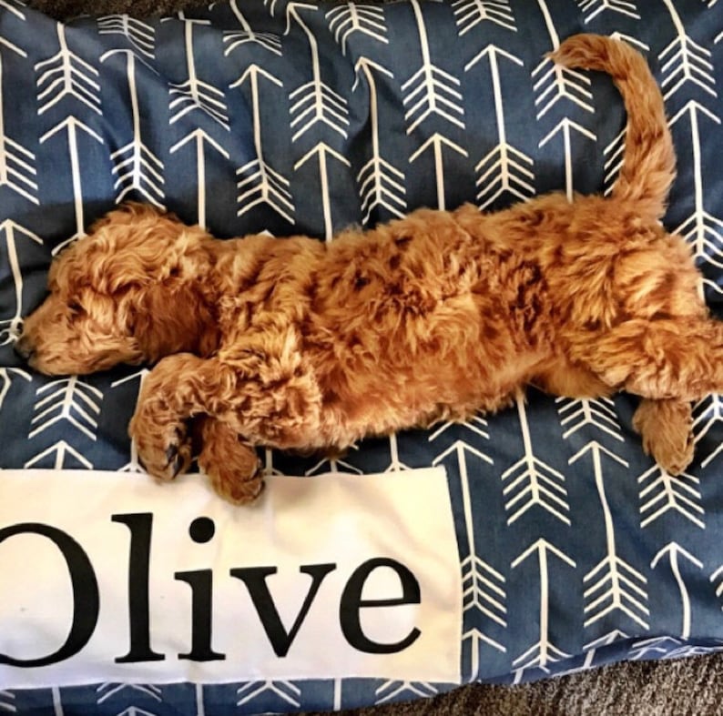 Puede incluir: Un perro marr&oacute;n y blanco durmiendo en una cama para perros azul y blanca con una etiqueta personalizada blanca que dice "Olive".