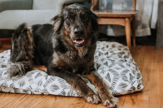 Farmhouse Dog Beds Dog Bed Cover Personalized Dog Bed Custom Dog Bed Pet Beds Black and Tan Dog Bed Cover ALL SIZES Washable Etsy