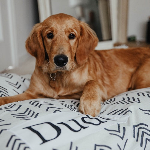 Dog Bed Cover Arrow Dog Beds Personalized Dog Bed Custom Etsy