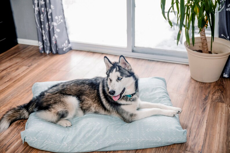 Dog Bed Cover Arrow Dog Beds Personalized Dog Bed Custom Etsy