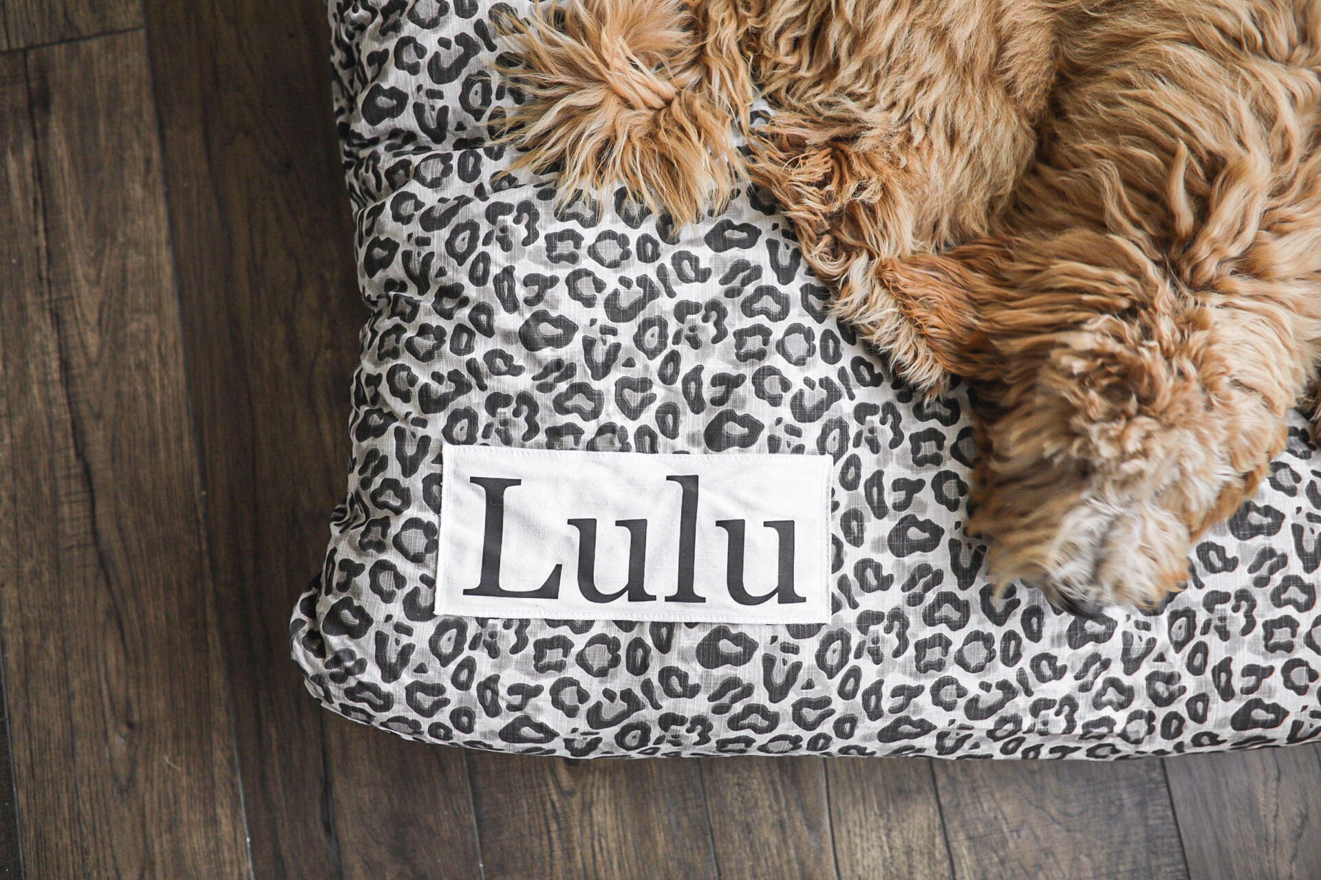 Leopard Dog Bed Cover Dog Beds Personalized Dog Bed Etsy