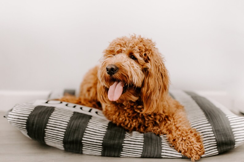 Dog Bed Cover Charcoal Gray Dog Beds Personalized Dog Bed Etsy
