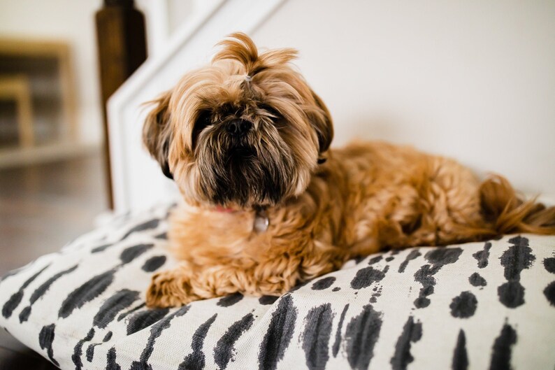 Dog Bed Cover Charcoal Gray Dog Beds Personalized Dog Bed Etsy