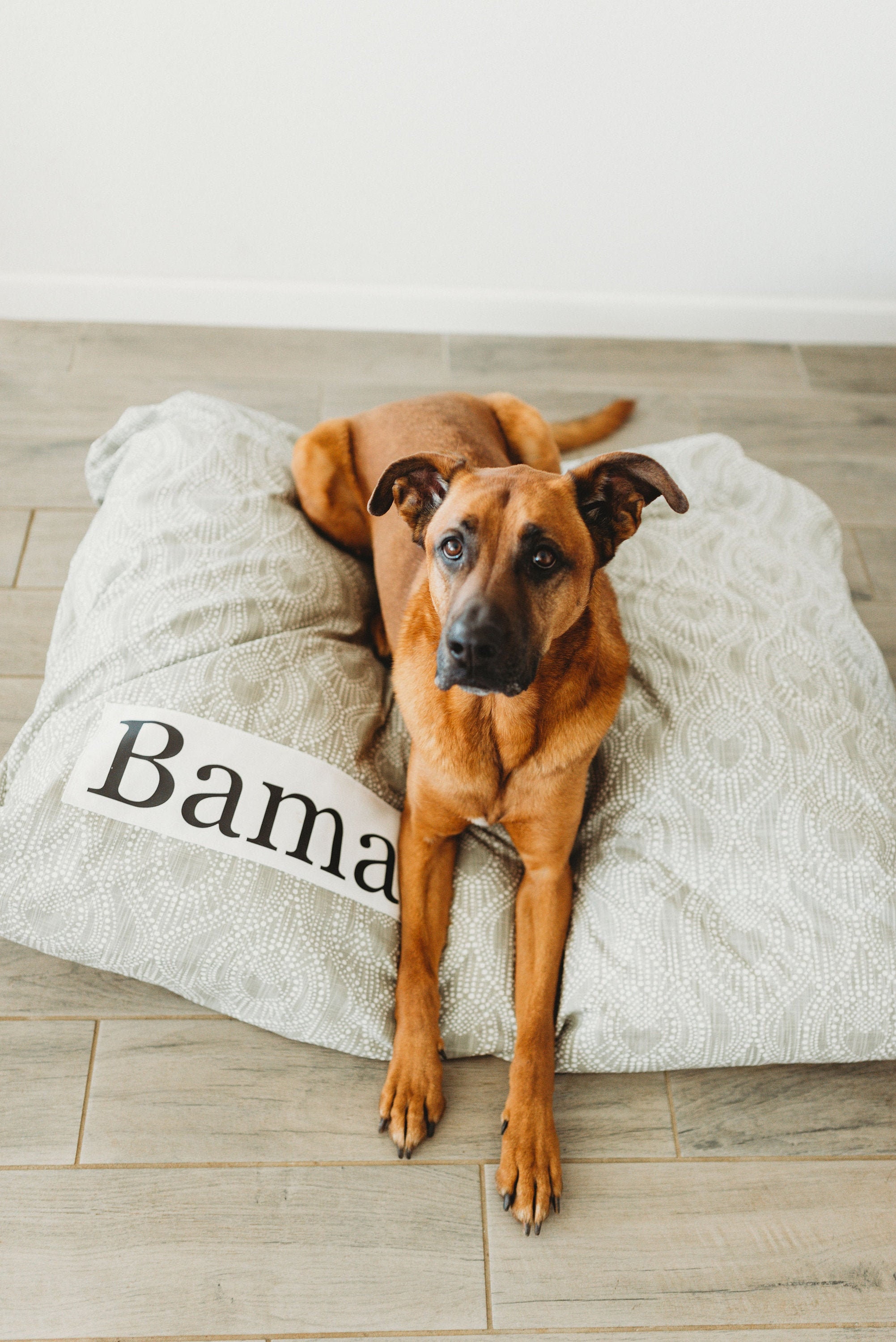 Canvas Dog Bed Etsy Canada