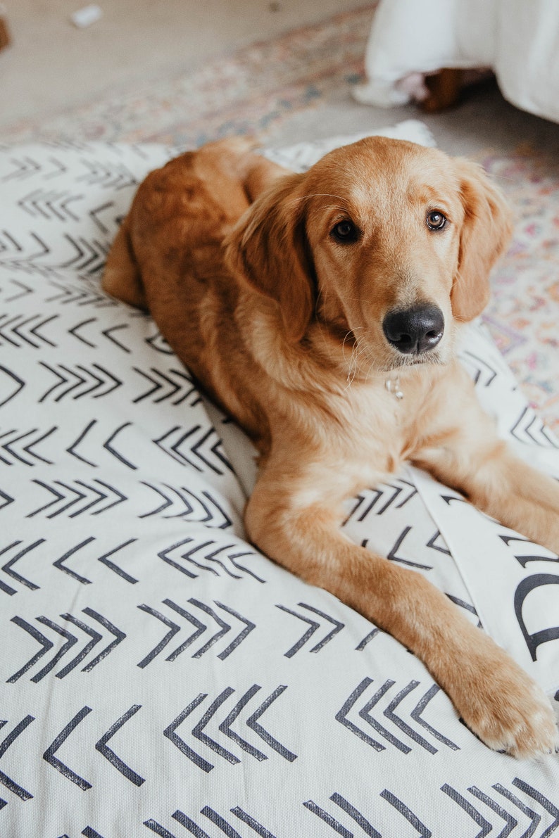 Dog Bed Cover Arrow Dog Beds Personalized Dog Bed Custom Etsy