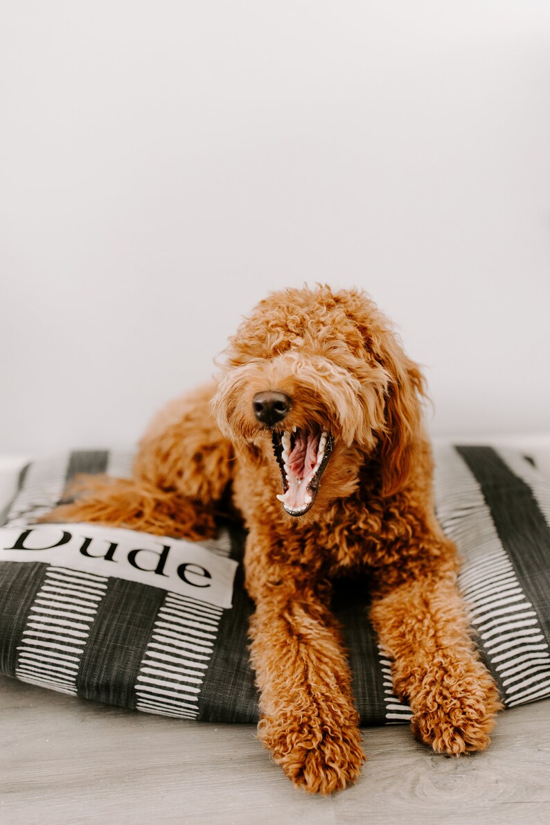 Dog Bed Cover Charcoal Gray Dog Beds Personalized Dog Bed Etsy