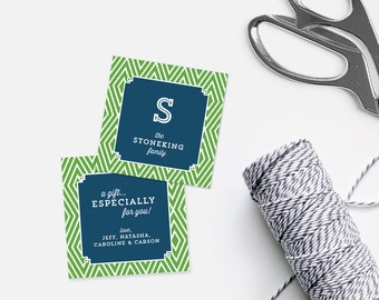 May include: Two green and white patterned gift tags with blue borders. The top tag has the letter "S" and the text "the STONEKING family". The bottom tag has the text "a gift... ESPECIALLY for you! Love, JEFF, NATASHA, CAROLINE & CARSON".