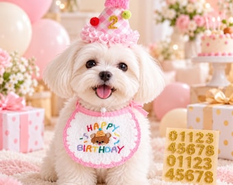 Pet Birthday Outfit Set, Pet Birthday Bandana and Party Hat, Number Age Hat, Puppy Cake Smash Photo Prop, Gift for Dog Mom