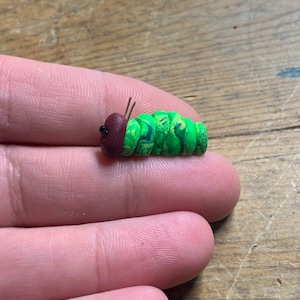 Tiny Green Caterpillar, Miniature Caterpillar, Fairy Garden Caterpillar