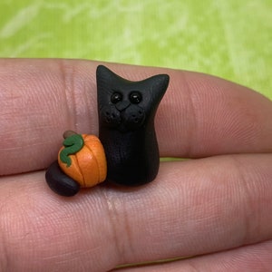 Miniature Black Cat with Pumpkin, Polymer clay Black Cat, Tiny Cat Figurine, Halloween Black Cat