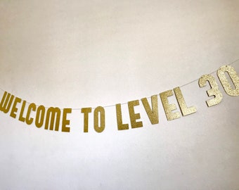 Welcome to level 30 banner, 30th Birthday Banner, 30th/40th/50th/60th Birthday Decoration, 30th birthday bunting, 30th Birthday Decorations