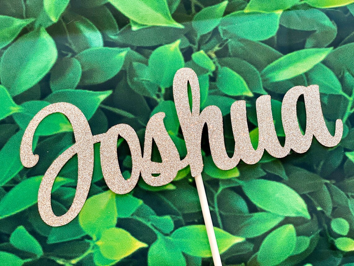 Name Cake Topper Name Centerpiece Name Donut Picks Name Etsy