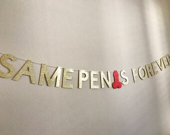 Bachelorette Party Decorations, Same Penis Forever Banner, Hen party Banner, Last fling, Bachelorette Party Banner, Same Dick Forever