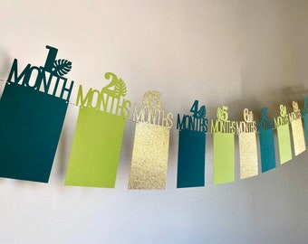 Wild One Safari First Birthday Photo Banner: Monthly Picture Display