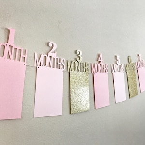 First Birthday Photo Banner, First Birthday Banner, 1st Year Photo Banner, One Year Photo Banner, Monthly Photo Banner, Pink & Gold Birthday image 1