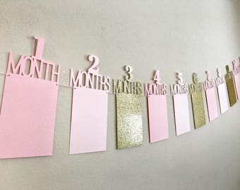 First Birthday Photo Banner, First Birthday Banner, 1st Year Photo Banner, One Year Photo Banner, Monthly Photo Banner, Pink & Gold Birthday