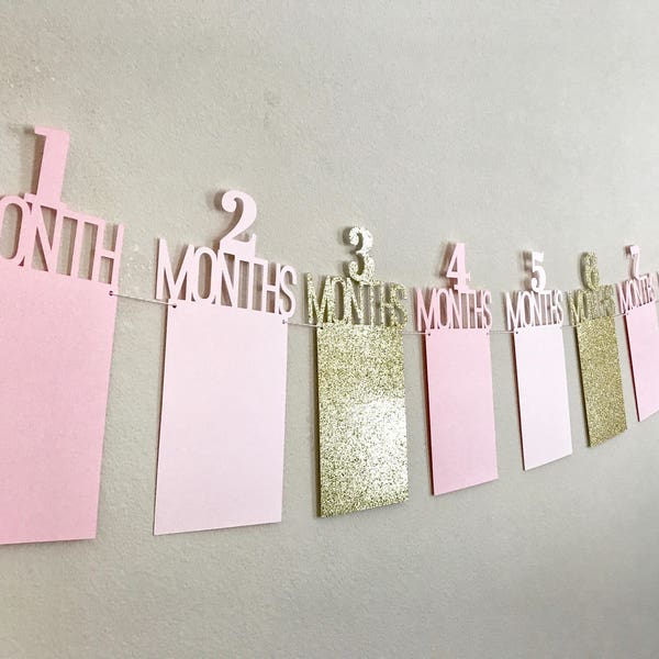 First Birthday Photo Banner, First Birthday Banner, 1st Year Photo Banner, One Year Photo Banner, Monthly Photo Banner, Pink & Gold Birthday