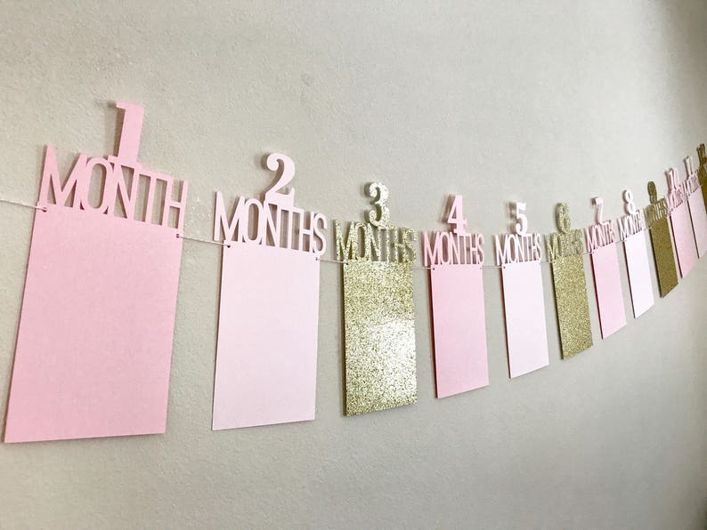 First Birthday Photo Banner, First Birthday Banner, 1st Year Photo Banner, One Year Photo Banner, Monthly Photo Banner, Pink & Gold Birthday 