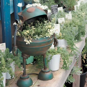 May include: A metal robot-shaped planter with a weathered green and brown finish. The round body holds a green leafy plant, featuring two arms, two legs with wide feet, and a domed head piece. The structure is positioned among other potted plants.
