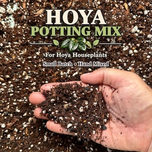 May include: A dark brown potting mix for Hoya houseplants containing perlite and organic matter. The text reads HOYA POTTING MIX, For Hoya Houseplants, Small Batch, and Hand Mixed. A small pile of the soil is held in a palm against the background.