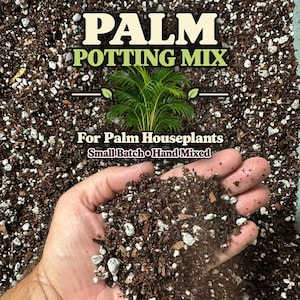 May include: A dark brown potting mix with white perlite particles, featuring text that reads PALM POTTING MIX, For Palm Houseplants, and Small Batch Hand Mixed, along with a green palm plant illustration centered on the soil surface.