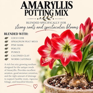 May include: A bag of Amaryllis Potting Mix featuring text listing ingredients like coco coir, sphagnum peat moss, pine bark, perlite, pumice, calcined clay, and worm castings. A vibrant red and white Amaryllis flower grows in a brown pot.