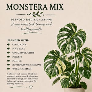 May include: A Monstera Mix potting soil advertisement featuring a variegated Monstera plant with green and white leaves. The text lists ingredients including coco coir, pine bark, coco husk chips, perlite, pumice, horticultural charcoal, and worm castings.