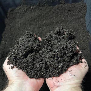 May include: A large handful of dark, rich, and crumbly organic soil or compost. The texture is fine and granular, showing a deep blackish-brown color with small organic particles visible throughout the material held in the palms.