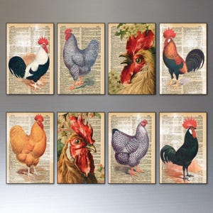Op de afbeelding: Een set van acht rechthoekige wandkunstprints met diverse haanillustraties over vintage woordenboekpagina's. De afbeeldingen tonen hanen in verschillende kleuren, waaronder zwart, wit, rood en goud, met gedetailleerd verenkleed en kammen.